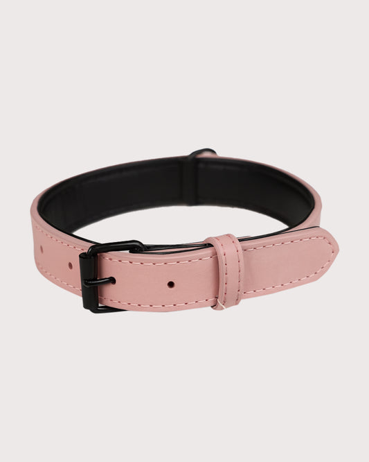 Furbeez Pet Accessories : Red Dog Collar Medium
