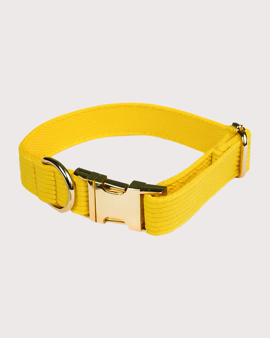 Furbeez Pet Accessories : Yellow Dog Collar Medium