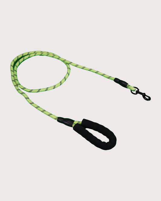 Furbeez Pet Accessories : Braided Dog Leash Green/Medium