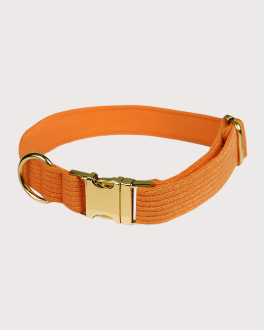 Furbeez Pet Accessories : Orange Dog Collar XL