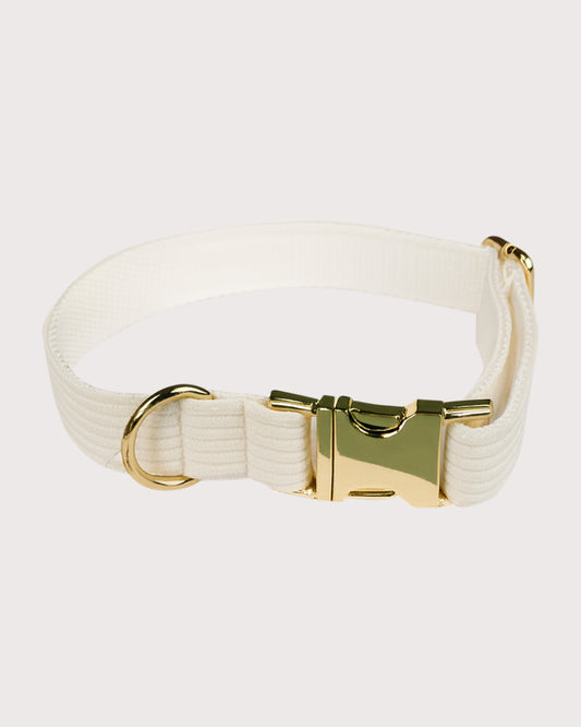 Furbeez Pet Accessories : White Dog Collar XL
