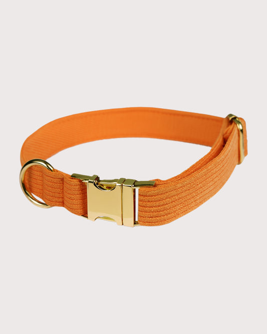 Furbeez Pet Accessories : Orange Dog Collar Large