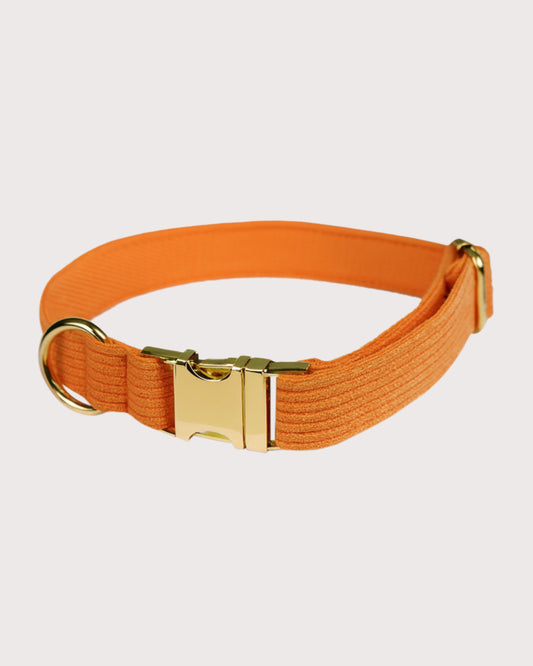 Furbeez Pet Accessories : Orange Dog Collar Medium