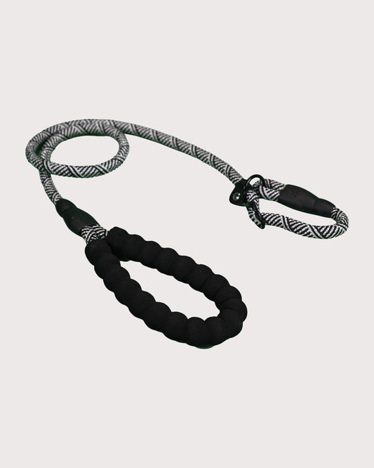 Furbeez Pet Accessories : Braided Dog Leash Silver/Large