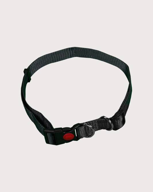 Furbeez Pet Accessories : Bungee Dog Leash For Jogging Geen/XL