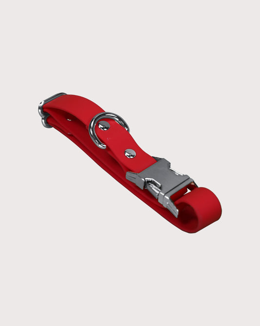 Furbeez Pet Accessories : Dog Collar & Leash waterproof set Red/Medium
