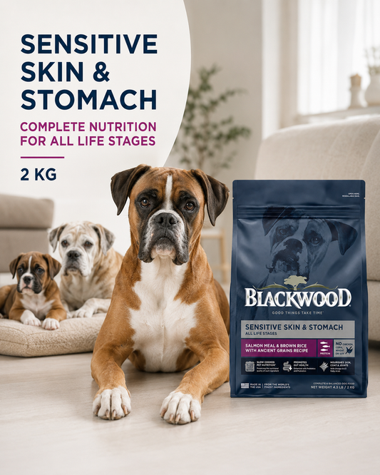 Blackwood Salmon Meal & brown Rice with ancient grains Recipe All life stages dog/ 2 kg