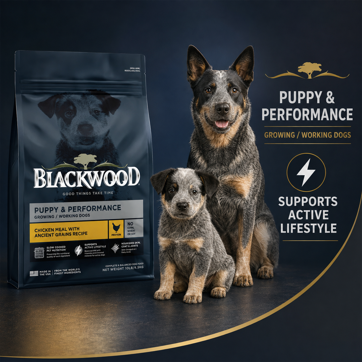 Blackwood Puppy & Performance Chicken Meal with Ancient Grain Recipe/ 2 Kg