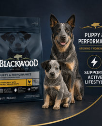 Blackwood Puppy & performance Chicken meal with ancient grain Recipe/ 4.5 kg