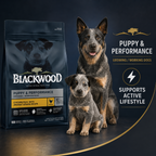 Blackwood Puppy & performance Chicken meal with ancient grain Recipe/ 4.5 kg