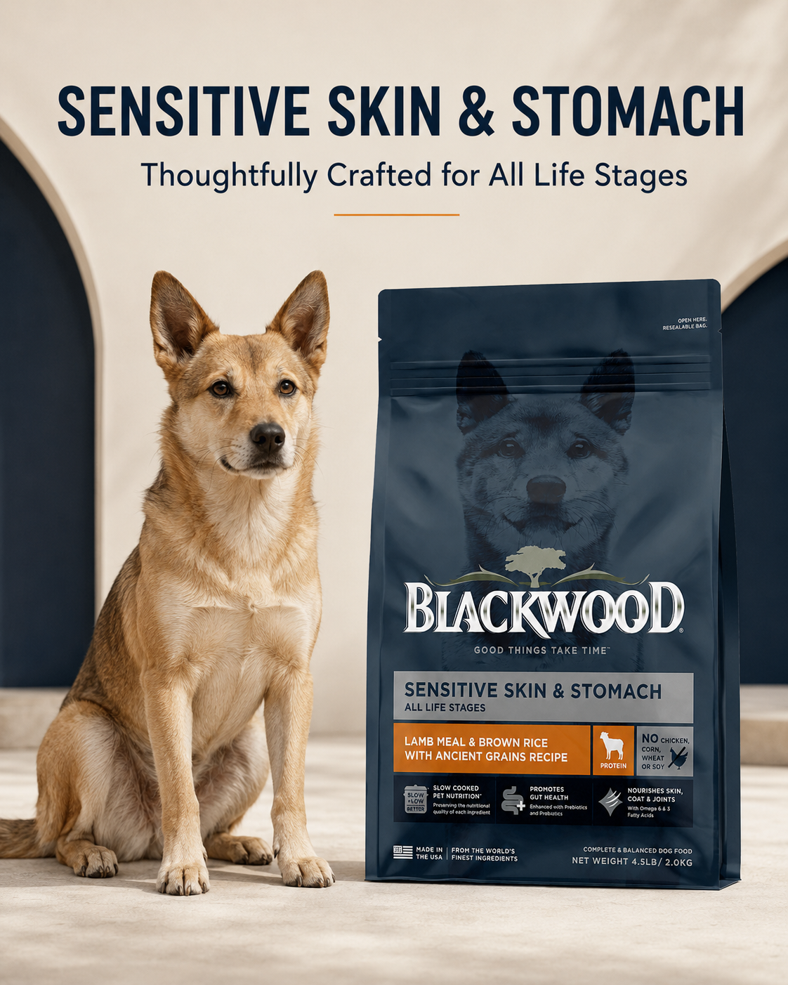 Blackwood Lamb Meal & brown Rice with ancient grains Recipe All life stages dog/ 2 kg
