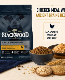 Blackwood Puppy & performance Chicken meal with ancient grain Recipe/ 4.5 kg