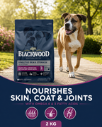 Blackwood Salmon Meal & brown Rice with ancient grains Recipe All life stages dog/ 2 kg