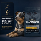 Blackwood Puppy & Performance Chicken Meal with Ancient Grain Recipe/ 2 Kg
