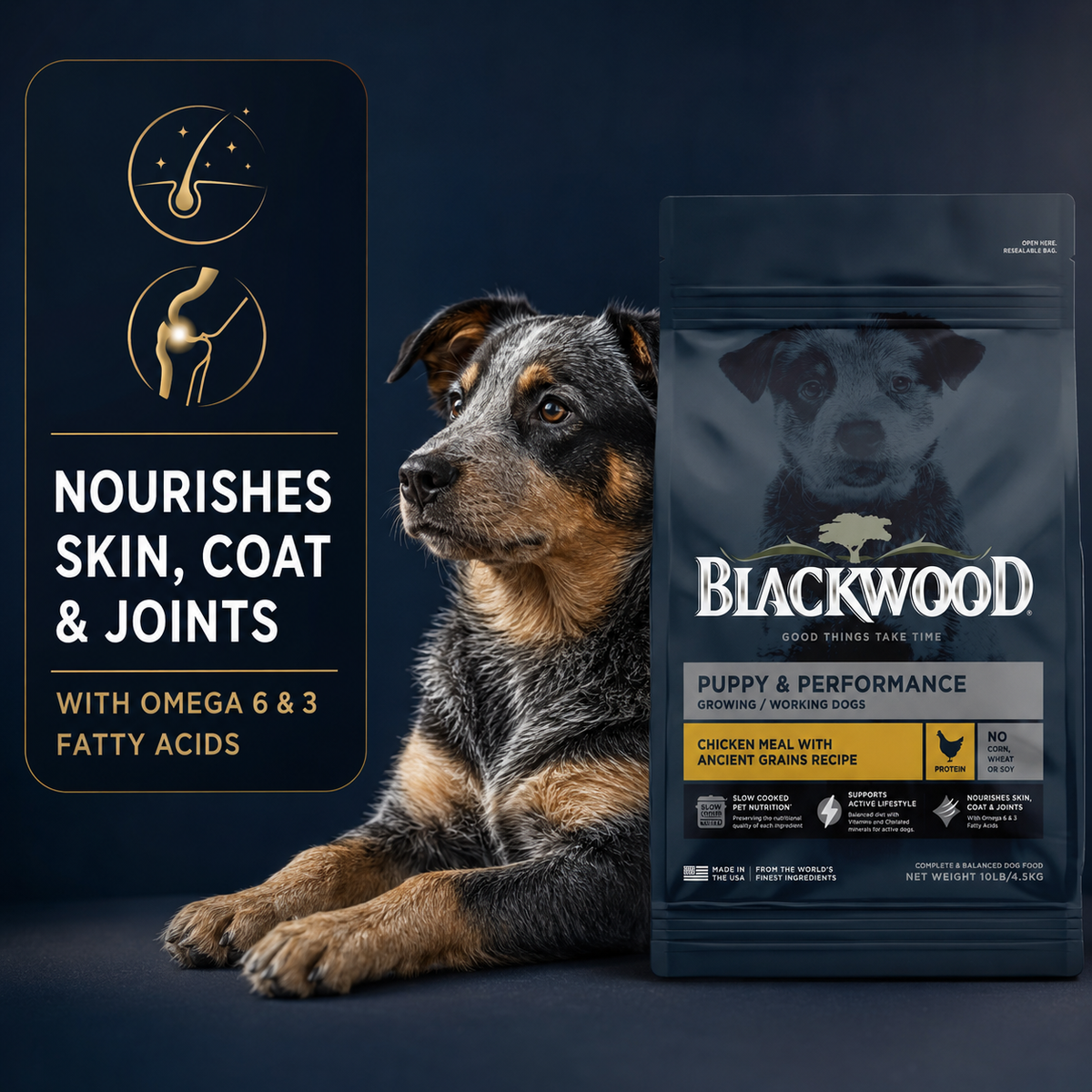 Blackwood Puppy & Performance Chicken Meal with Ancient Grain Recipe/ 2 Kg