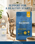 Blackwood Chicken Meal & brown rice Recipe all life stages Kitten Food / 1.82 kg