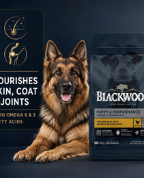 Blackwood Puppy & performance Chicken meal with ancient grain Recipe/ 4.5 kg