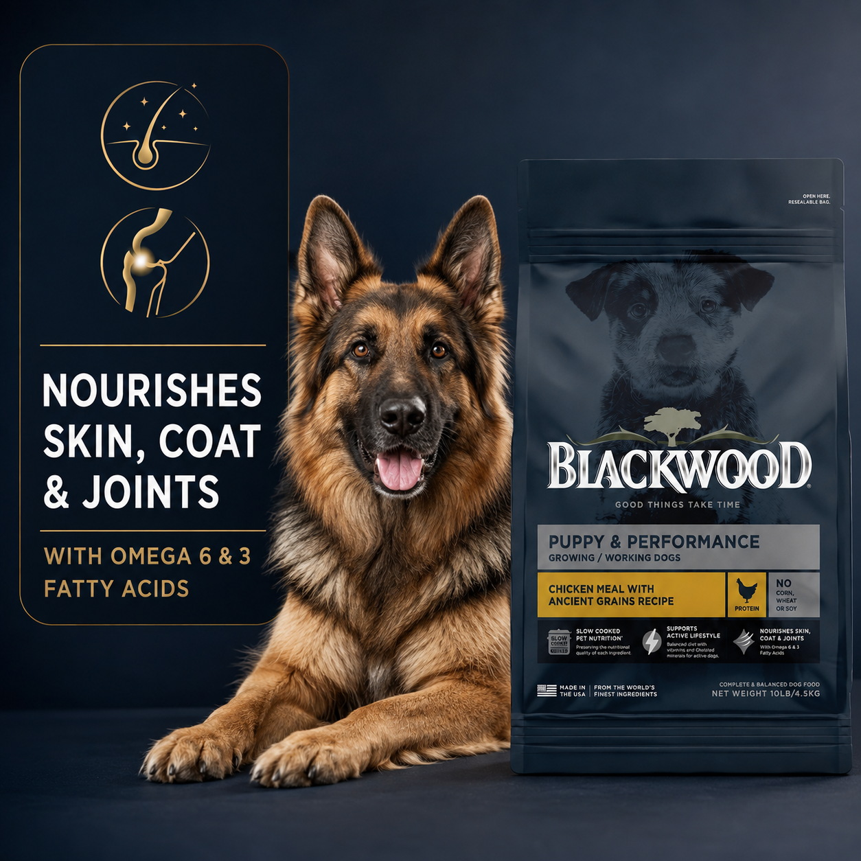 Blackwood Puppy & performance Chicken meal with ancient grain Recipe/ 4.5 kg