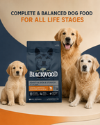 Blackwood Lamb Meal & brown Rice with ancient grains Recipe All life stages dog/ 2 kg