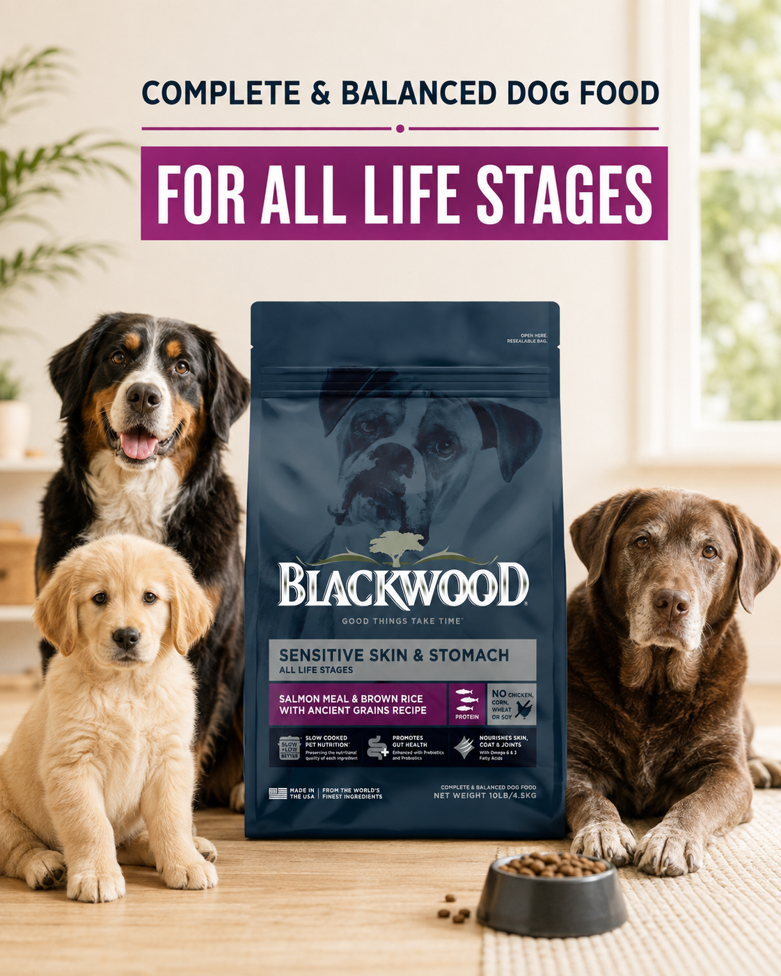 Blackwood Salmon Meal & brown Rice with ancient grains Recipe All life stages dog/ 4.5 kg