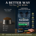 Blackwood Small Breed Grain free Turkey & Lentils Recipe All life stages dog food/ 2 kg