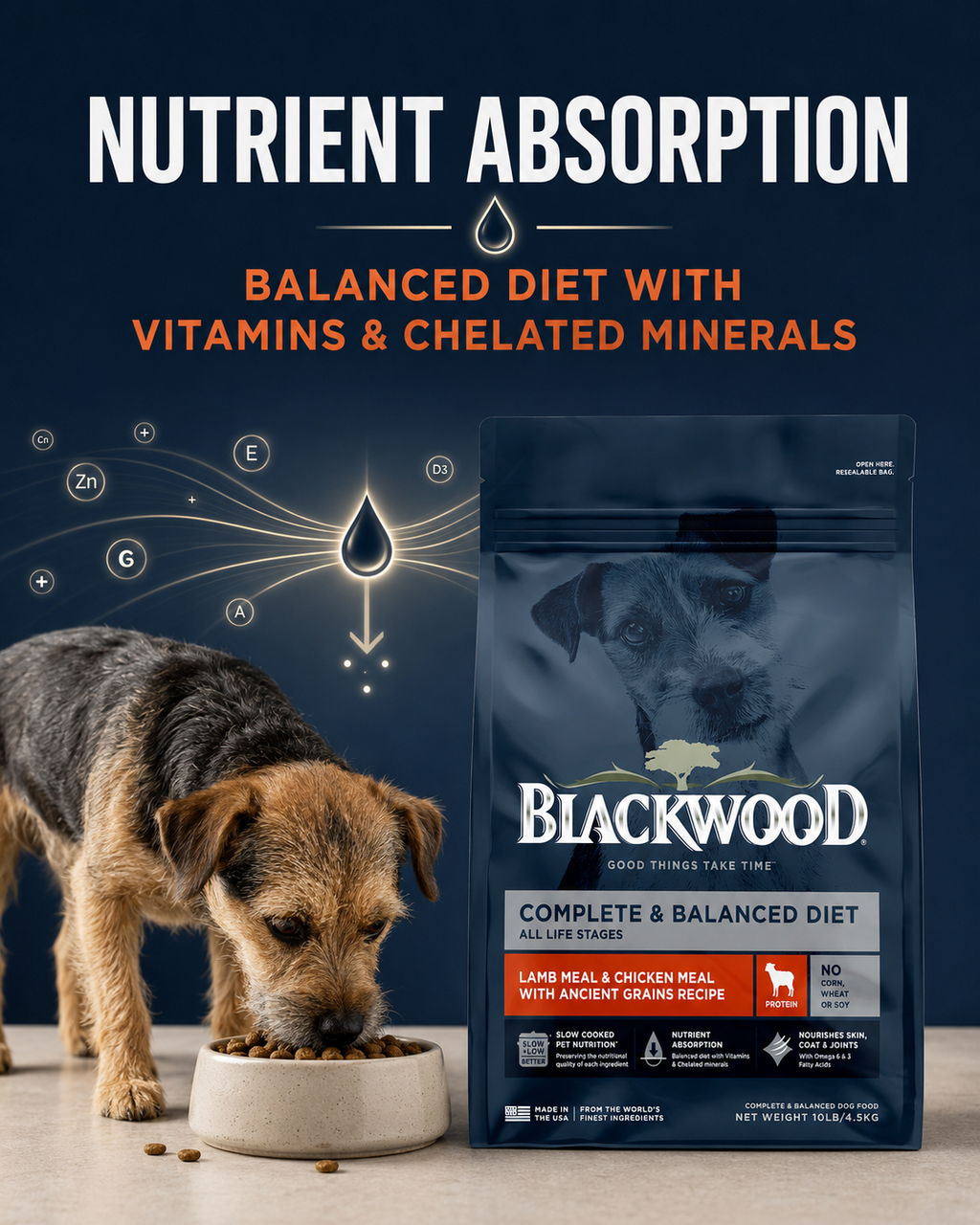 Blackwood Lamb Meal & Chicken meal with ancient grain Recipe All life Stages/ 4.5 kg