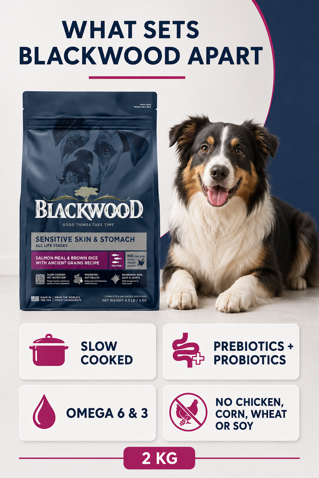 Blackwood Salmon Meal & brown Rice with ancient grains Recipe All life stages dog/ 2 kg