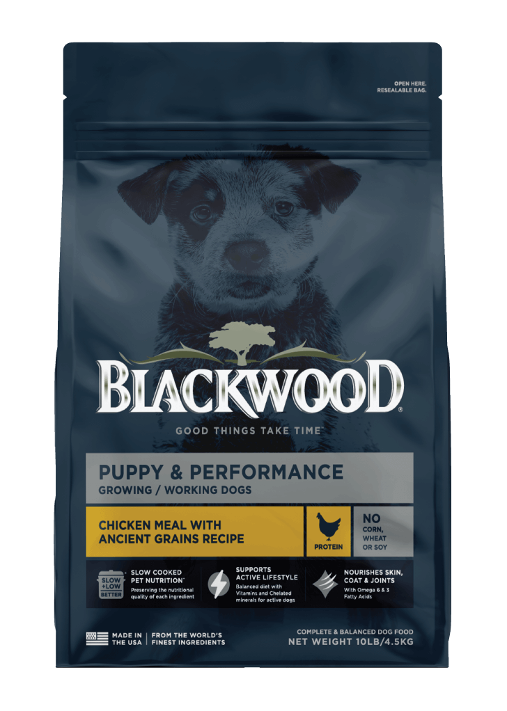 Blackwood Puppy & performance Chicken meal with ancient grain Recipe/ 4.5 kg