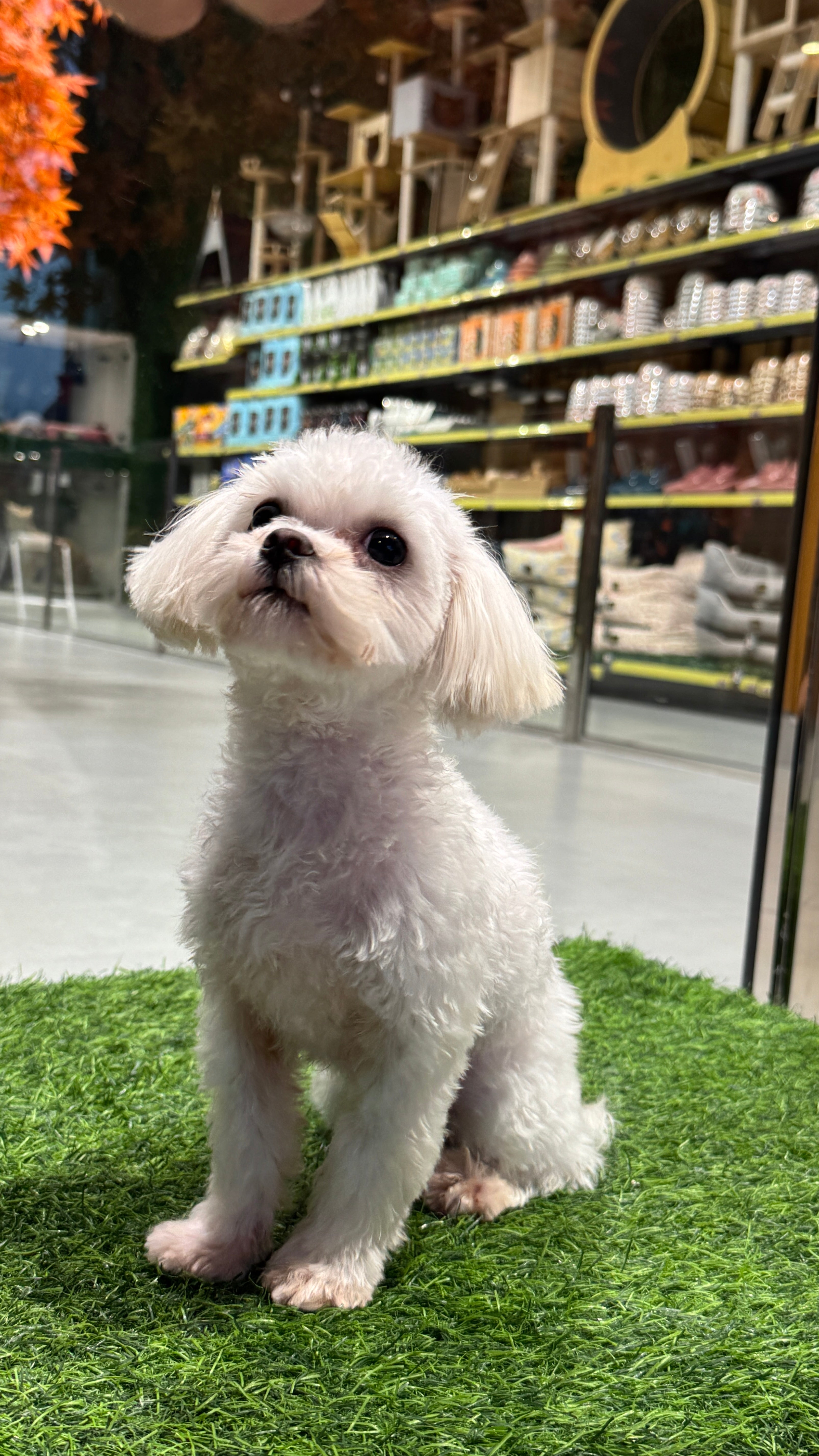 Cloud