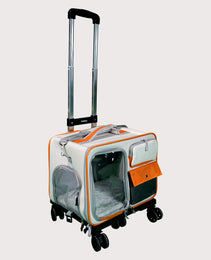 Furbeez Pet Accessories : Pet Carrier Backpack