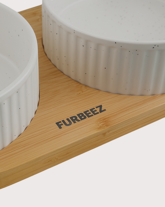 Furbeez Pet Accessories : Ceramic Dual Pet water Food Bowl White Furbeez