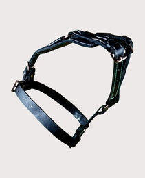 Furbeez Pet Accessories : Black Dog Genuine Leather Harness Large