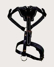 Furbeez Pet Accessories : Black Dog Genuine Leather Harness Large