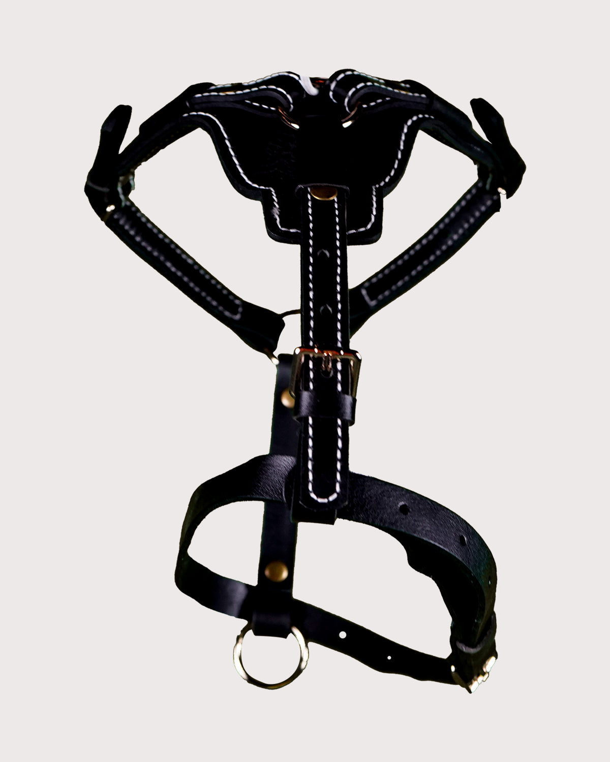 Furbeez Pet Accessories : Black Dog Genuine Leather Harness Large