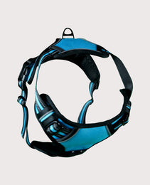 Furbeez Pet Accessories : Dog Harness Blue/XL