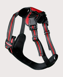 Furbeez Pet Accessories : Dog Harness Red/Large