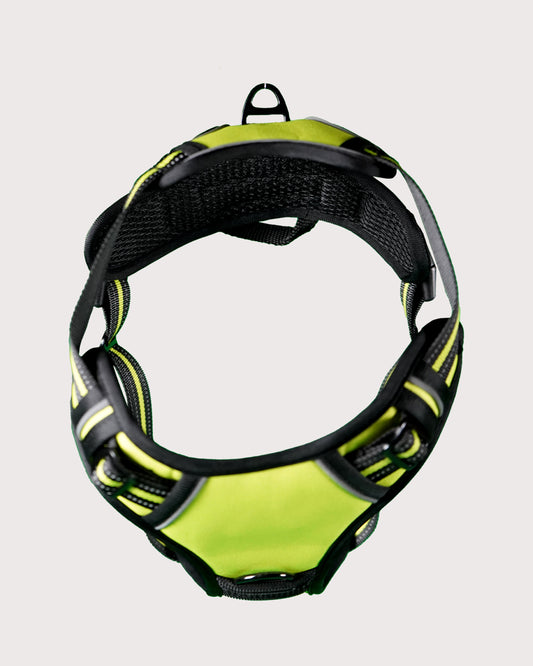Furbeez Pet Accessories : Dog Harness Green/Large