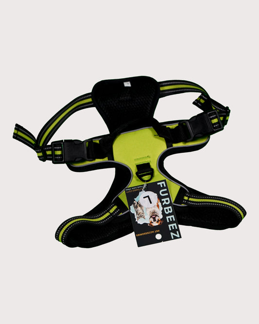 Furbeez Pet Accessories : Dog Harness Green/Large