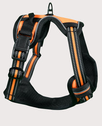 Furbeez Pet Accessories : Dog Harness Orange/Small