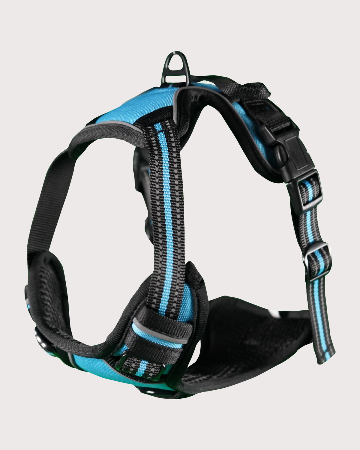 Furbeez Pet Accessories : Dog Harness Blue/Medium