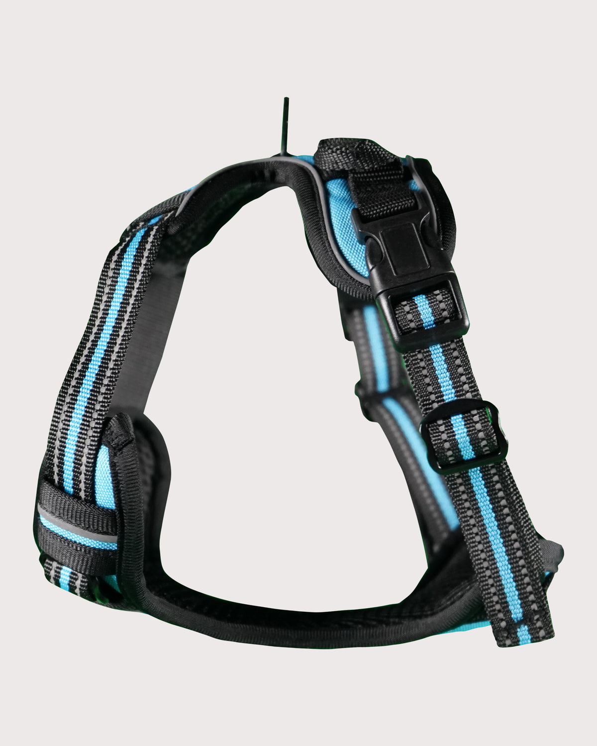 Furbeez Pet Accessories : Dog Harness Blue/Medium