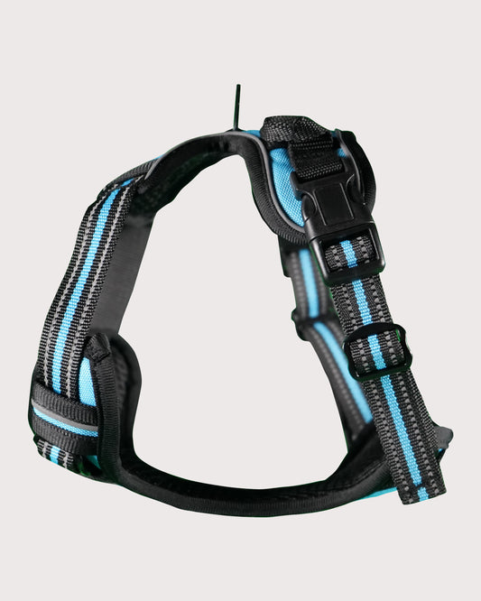 Furbeez Pet Accessories : Dog Harness Blue/Small