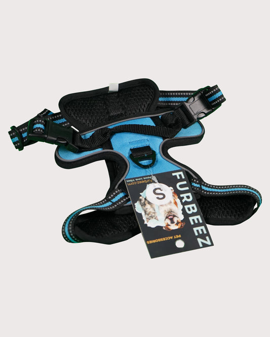 Furbeez Pet Accessories : Dog Harness Blue/Small