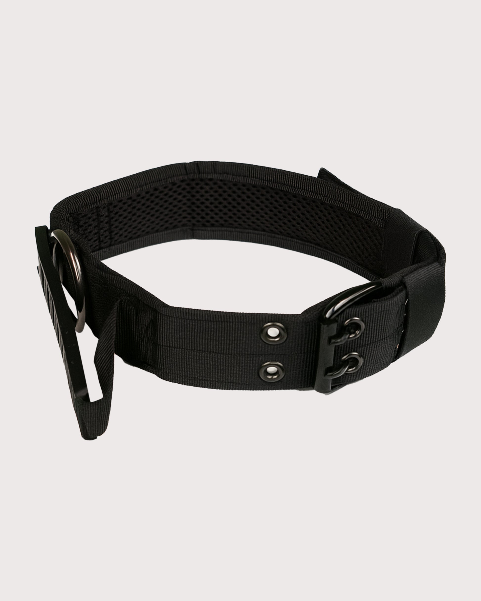 Furbeez Pet Accessories : Black Tactical Dog Collar Large