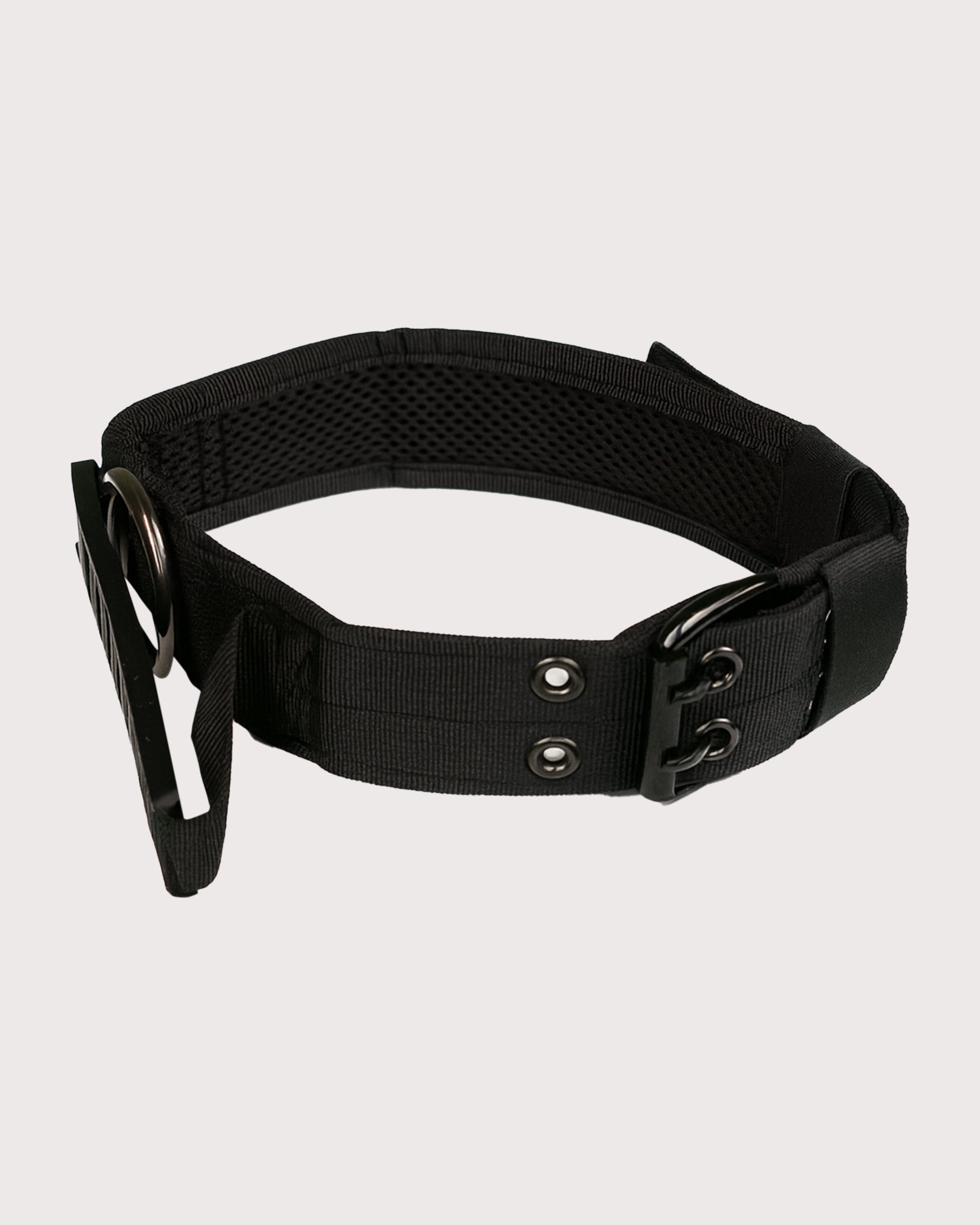 Furbeez Pet Accessories : Black Tactical Dog Collar Large