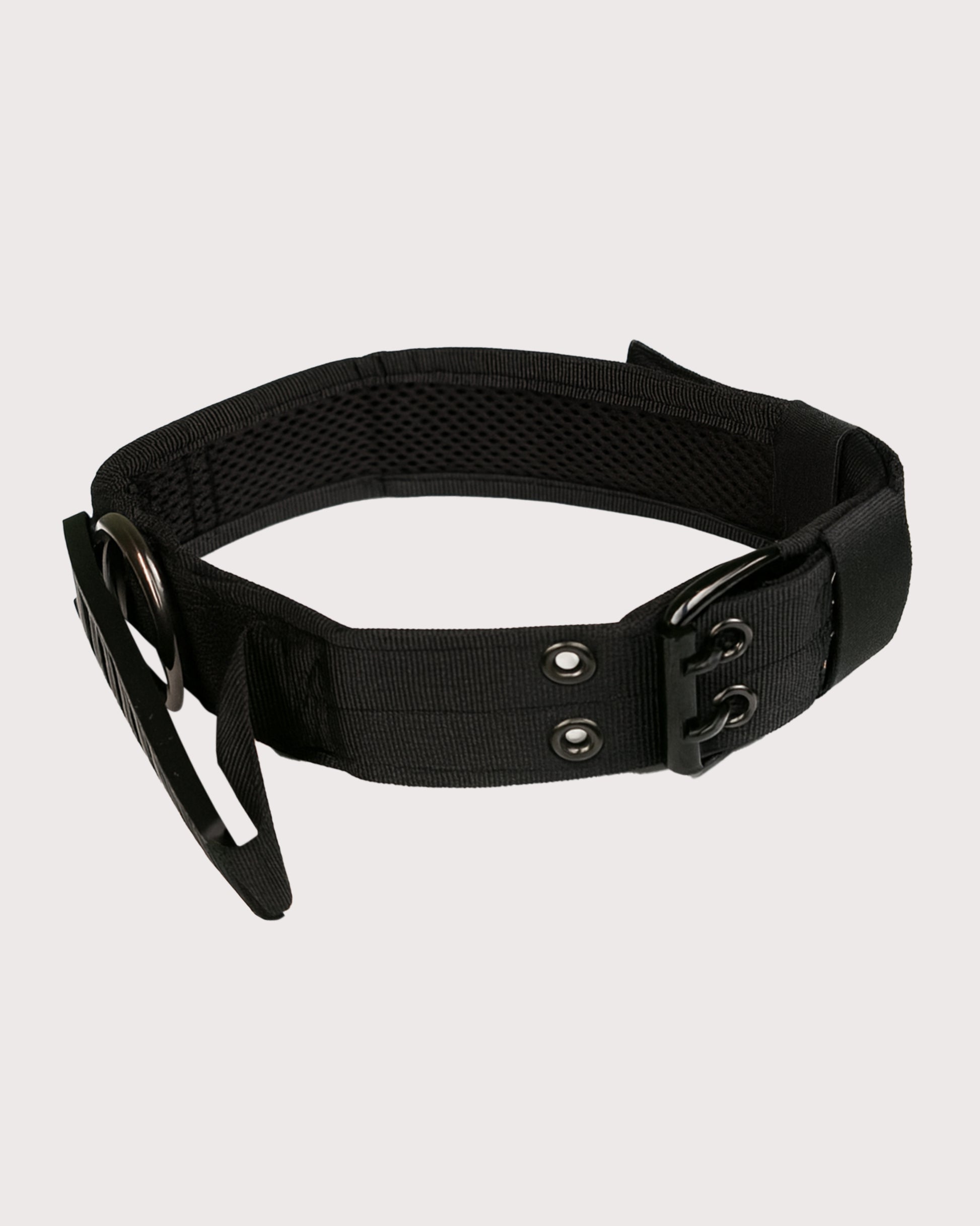 Furbeez Pet Accessories : Black Tactical Dog Collar XL