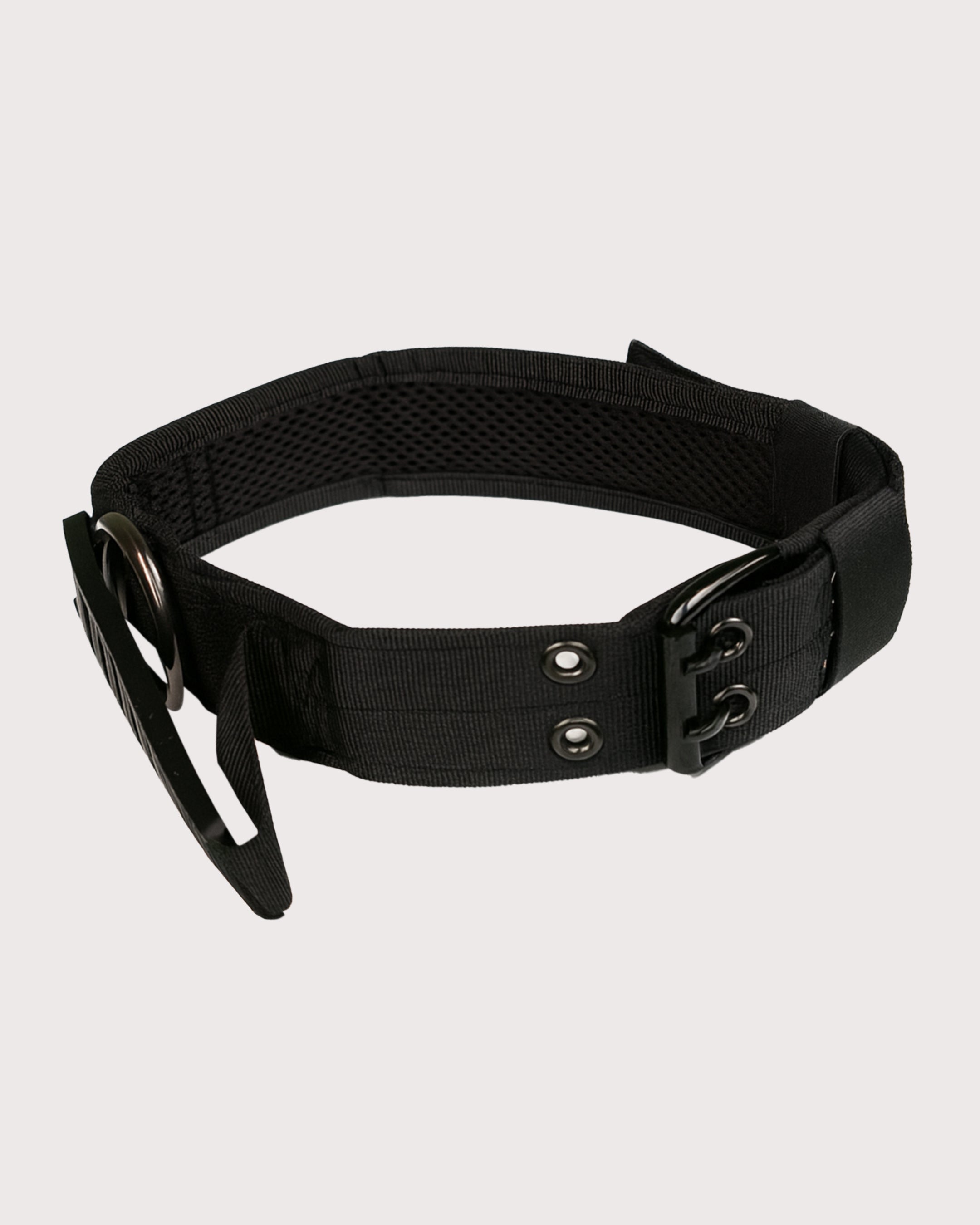 Furbeez Pet Accessories : Black Tactical Dog Collar XL