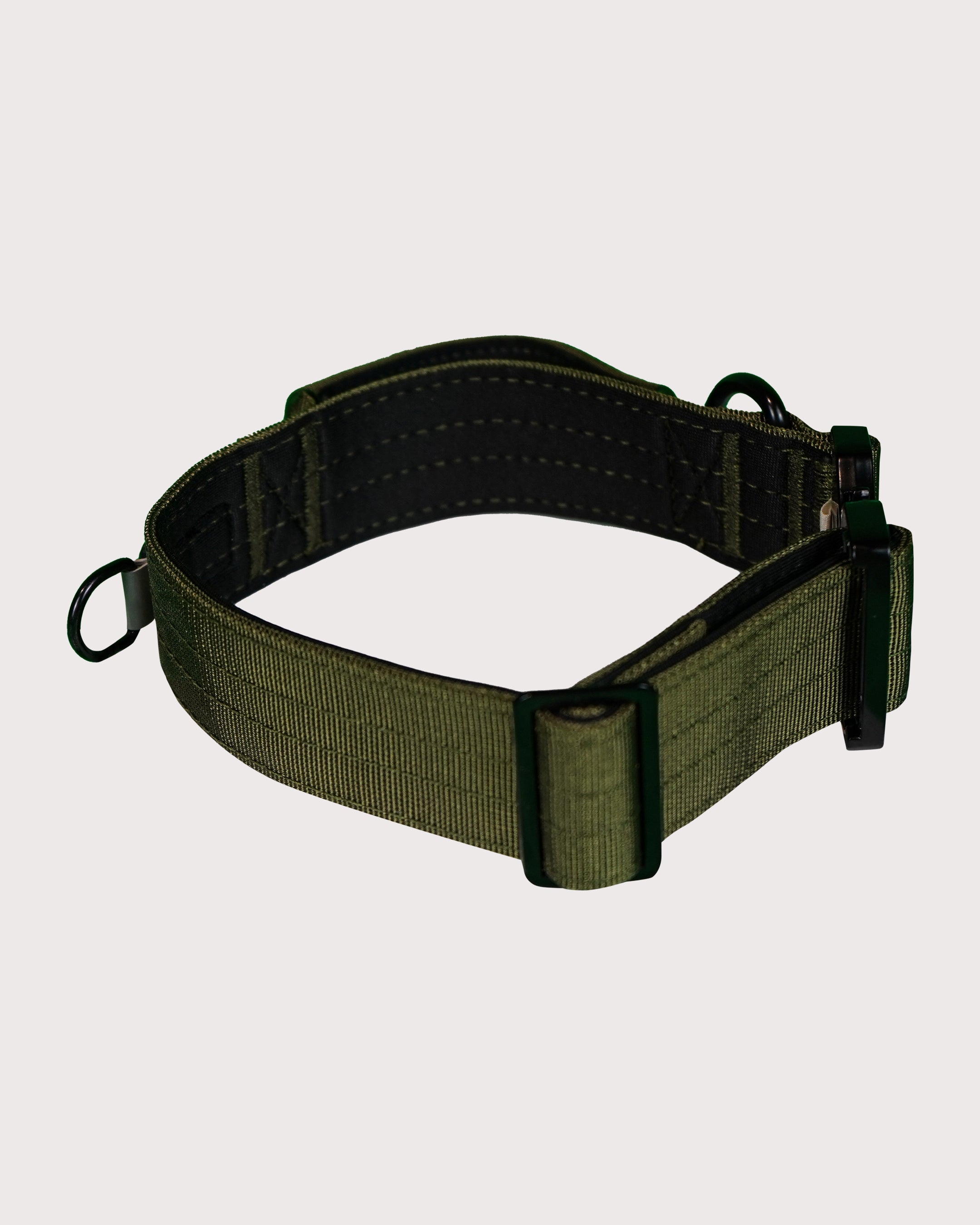 Furbeez Pet Accessories : Green Tactical Dog Collar Medium