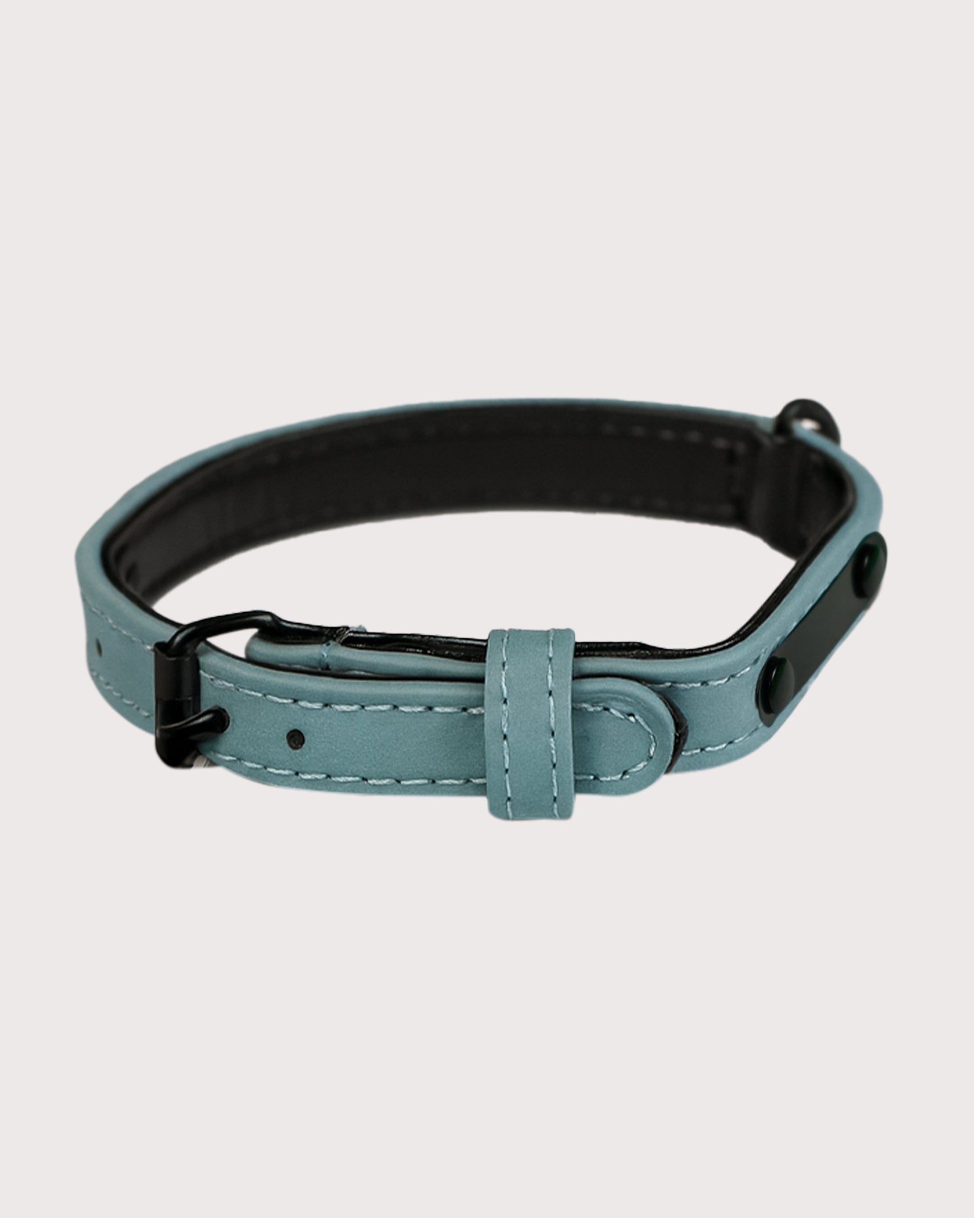 Furbeez Pet Accessories : Green Dog Collar Xs