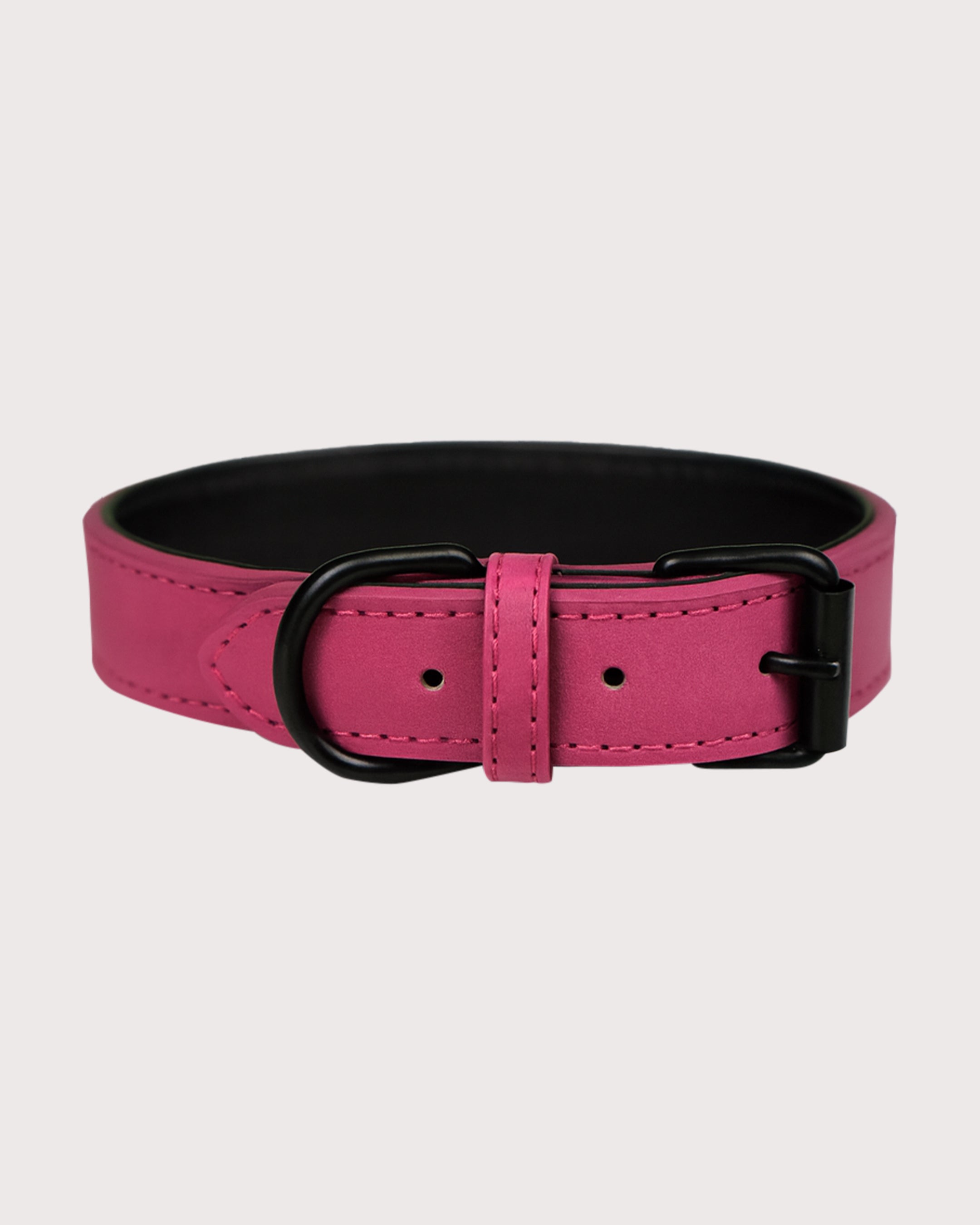 Furbeez Pet Accessories : Rose Red Collar Large